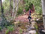 Photo Octon ND de Roubignac 018.jpg